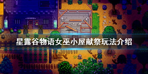 星露谷物语女巫家里3个献祭需要什么 女巫小屋献祭玩法介绍