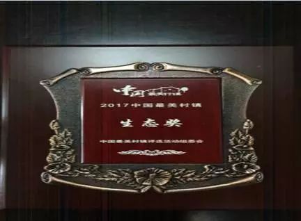 凝心聚力,共建美丽瓦殿